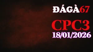 Video phát lại trực tiếp đá gà CPC3 hôm nay 18012026