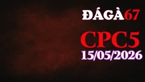 Clip trực tiếp đá gà thomo CPC5 hôm nay 15052026