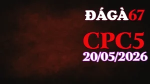 Video trực tiếp đá gà CPC5 ngày 20052026